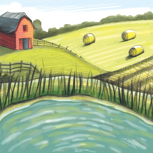 Farm and pond backdrop by Shanda McCloskey
